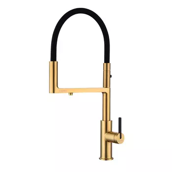 Смеситель для кухонной мойки Paulmark Tornado To213402-BG брашированное золото