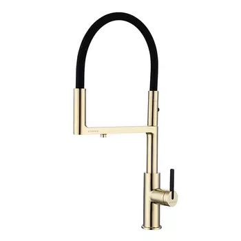 Смеситель для кухонной мойки Paulmark Tornado To213402-G золото