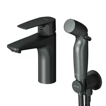 Смеситель для раковины Am.Pm Gem F90A03022 черный