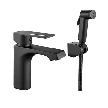 Смеситель для раковины Raffine F171H черный