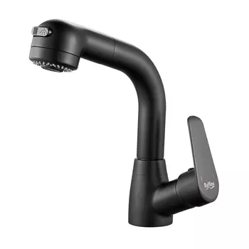 Смеситель для раковины Raffine F291H черный