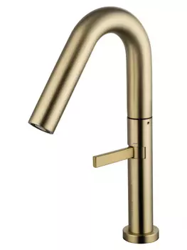 Смеситель для раковины Wonzon & Woghand WW-6068-BG золото