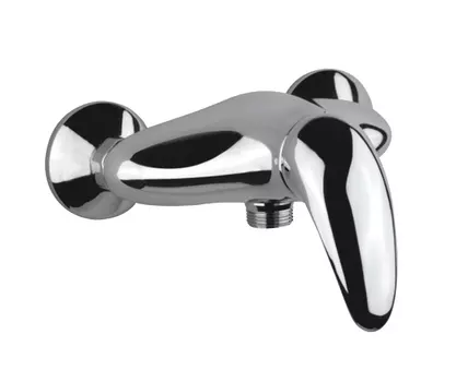 Смеситель Fiore Nexus 43CR1600 для душа