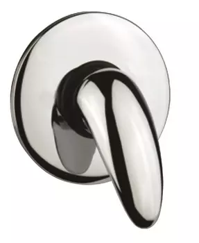 Смеситель Fiore Nexus 43CR1900 для душа