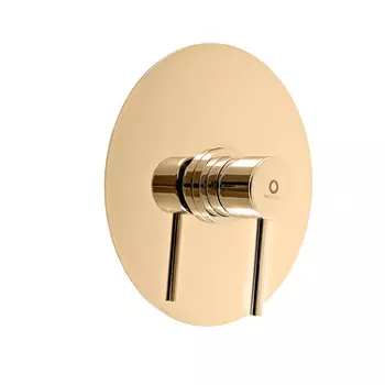 Смеситель Rav Slezak Seina SE983LZ для душа, золото