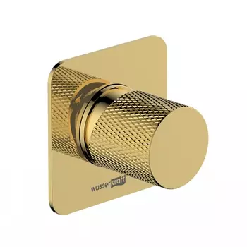 Смеситель WasserKRAFT Ems 7651 для душа, глянцевое золото