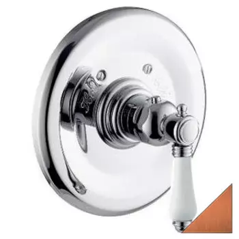 Термостат Nicolazzi Thermostatic 4914 BZ 78 для душа