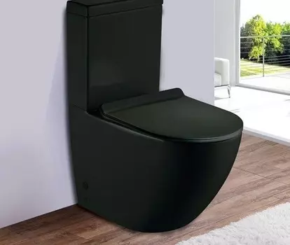 Унитаз-компакт CeramaLux 2166MB черный матовый