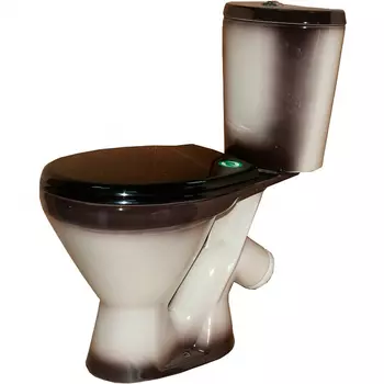 Унитаз-компакт Rosa Элегант черный