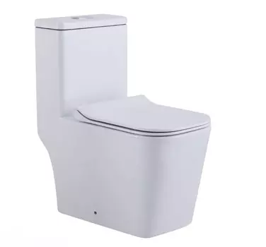 Унитаз-моноблок SL-5024 SantiLine белый