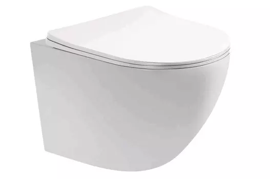 Унитаз подвесной Aquatek Европа AQ1900-00 безободковый