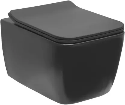 Унитаз подвесной Allen Brau Liberty 4.33007.AN безободковый, антрацит