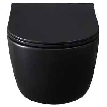 Унитаз подвесной Allen Brau Priority 4.31002.31 черный матовый