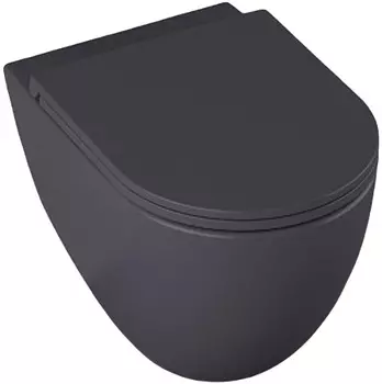 Унитаз подвесной Allen Brau Reality 4.32006.AN антрацит