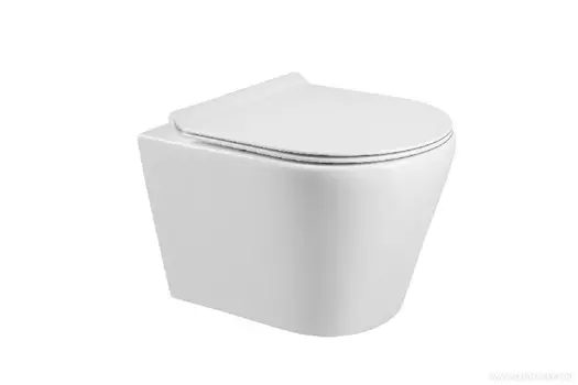 Унитаз подвесной Alpen The Champ A01S с микролифтом