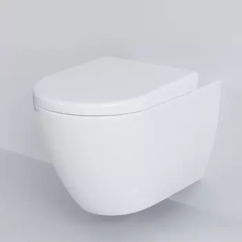 Унитаз подвесной Ambassador Queen 113T20101R белый матовый