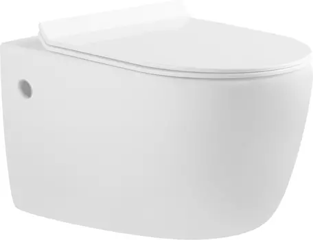 Унитаз подвесной Aquanet Cetus BL-102N-WHT