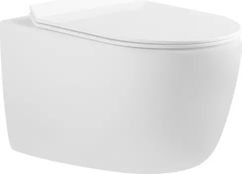 Унитаз подвесной Aquanet Cetus-W BL-102N-WHT безободковый, белый