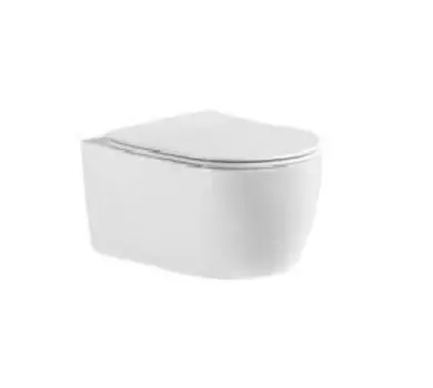 Унитаз подвесной Aquatek Европа AQ1106-00 безободковый