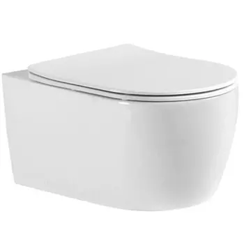 Унитаз подвесной Aquatek Европа AQ1106T-00 с сиденьем микролифт