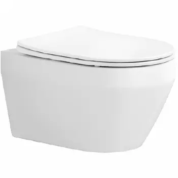 Унитаз подвесной Aquatek Лея AQ1199-00 с сиденьем микролифт