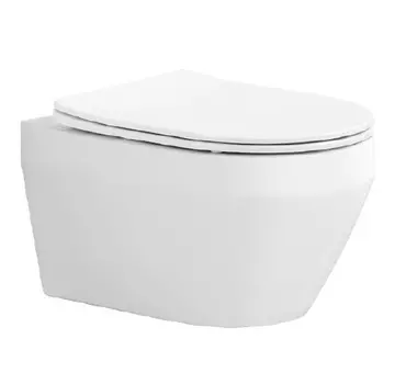 Унитаз подвесной Aquatek Лея AQ1199T-00 с сиденьем микролифт