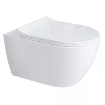 Унитаз подвесной Aquatek Поларис AQ0700-01 с микролифтом