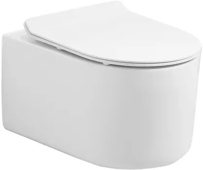 Унитаз подвесной Art&Max Rimini AM204CHR/SC безободковый, с сиденьем микролифт