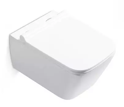 Унитаз подвесной Bogner BR-2041 с душевым сливом