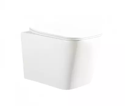 Унитаз подвесной Ceruttispa Maiella Aria PP CT10479 безободковый, с сиденьем микролифт