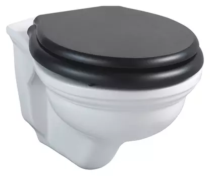 Унитаз подвесной Devon&Devon Rose