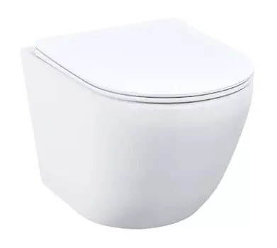 Унитаз подвесной Iddis Blanco BLARNSEi25 безободковый, с микролифтом, белый