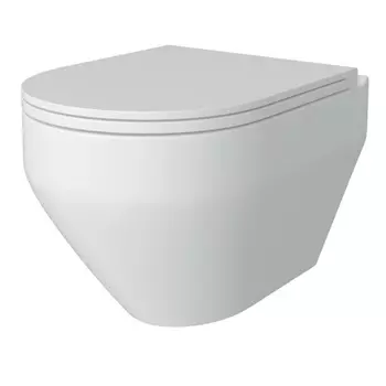 Унитаз подвесной Maretti Calabria CA10PBM29-844 безободковый, с микролифтом