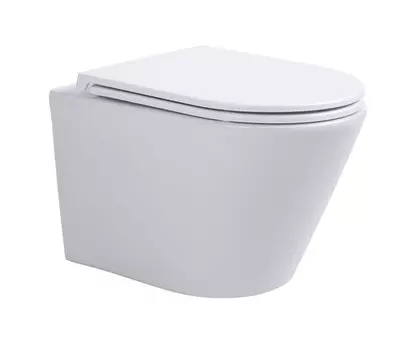 Унитаз подвесной Sintesi Essler SIN-TS-SLR-181 безободковый, с микролифтом