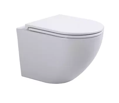 Унитаз подвесной Sintesi Evi SIN-TS-EVI-151 безободковый, с микролифтом