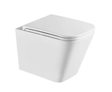 Унитаз подвесной Terminus Ватикан 03W49x34W безободковый, с микролифтом, белый