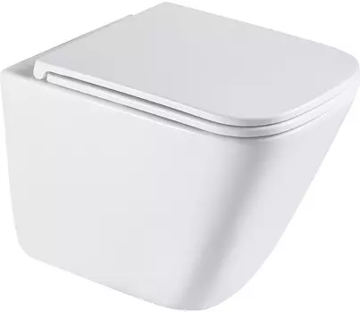 Унитаз подвесной Terminus Ватикан 03WM49x34W белый