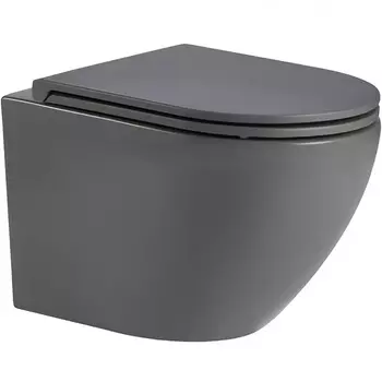 Унитаз подвесной WeltWasser SK Merzbach 043 MT-GR безободковый, серый матовый