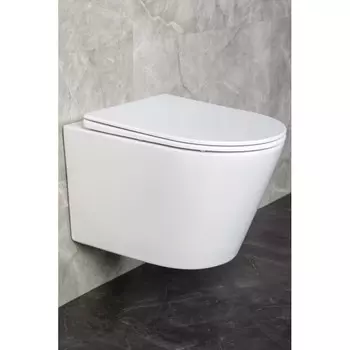 Унитаз подвесной Zandini Ravenna White Z19-02 безободковый