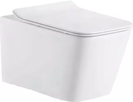 Унитаз подвесной Zandini Trento Z19-66 безободковый