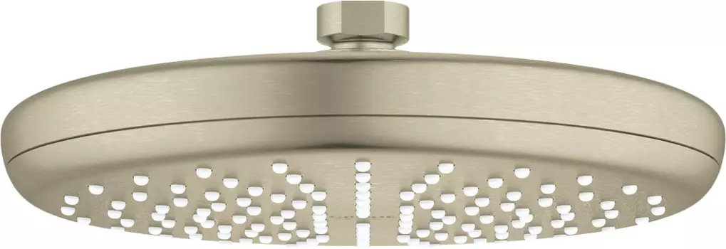 Верхний душ Grohe Tempesta 26410EN0