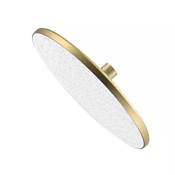 Верхний душ Raglo R451.50.03 золотой сатин