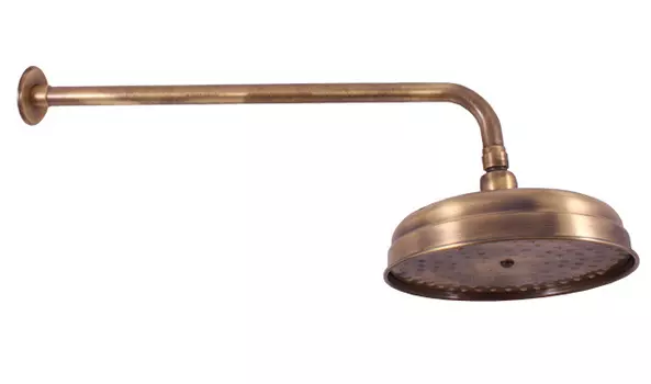 Верхний душ Rav Slezak SK0020SM бронза