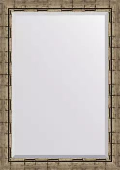 Зеркало Evoform Exclusive BY 1196 73x103 см серебряный бамбук