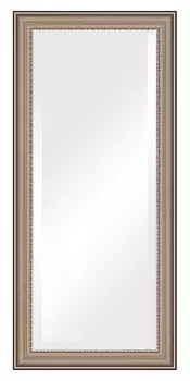 Зеркало Evoform Exclusive BY 1305 76x166 см хамелеон