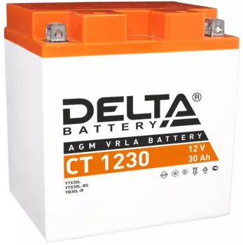 Аккумуляторы DELTA battery