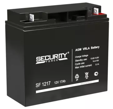 Аккумуляторы Security Force