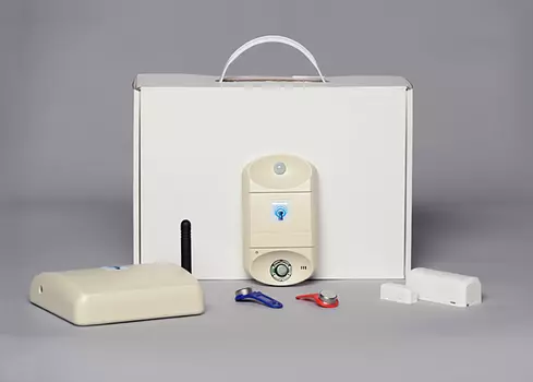 Альтоника Альтоника