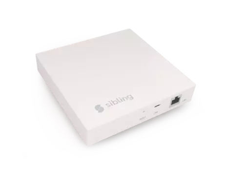 Безопасность дома Sibling