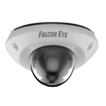 Видеокамеры Falcon Eye